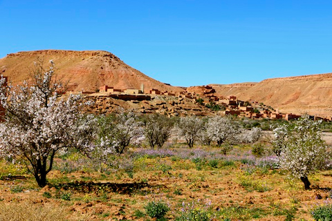 Maroc : visite privée d’Aït-ben-Haddou et de Ouarzazate