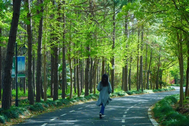 From Shanghai: Chongming Island Nature Day Trip with Sunset