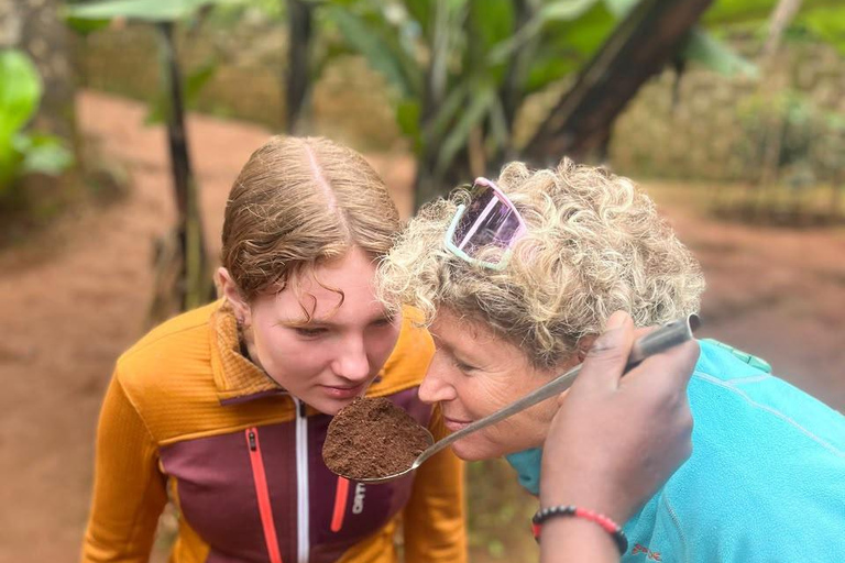From Moshi: Materuni Waterfalls and Coffee Tour with Lunch