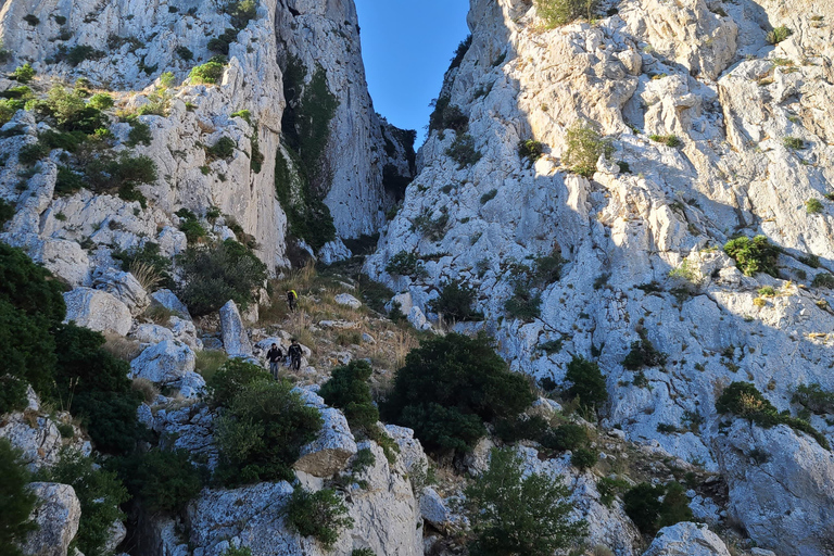From Tunis: Jebel Ressas Guided Hike with Cave Exploration
