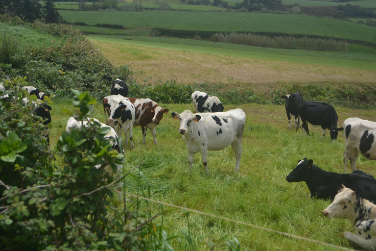 Sao Miguel Hike to Janela do Inferno and Lagoa do Fogo