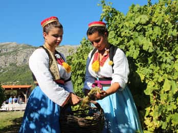 Valle di Konavle: Tour privato di mezza giornata con degustazione di vini