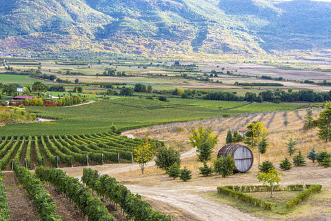 From Plovdiv: Wine Escape to the Rhodope Foothills