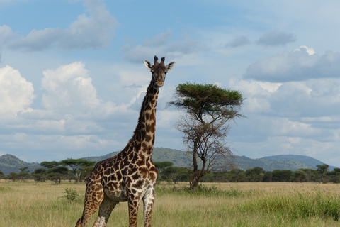 Day Safari to Lake Manyara National Park from Arusha