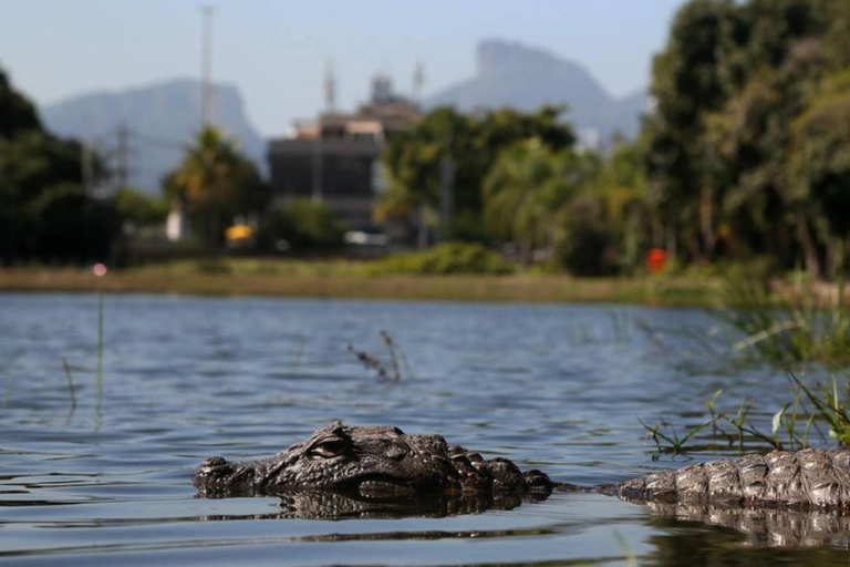 Rio de Janeiro: Half-Day Boat Tour in Marapendi Lagoon