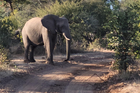 Victoria watervallen: Game drive of safari voor alleenreizenden