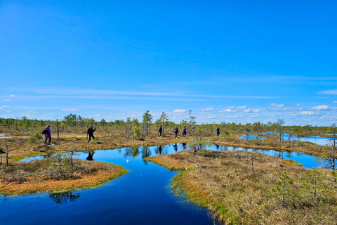 Ķemeri Bogs Adventure: Explore Wetlands In Bog Shoes