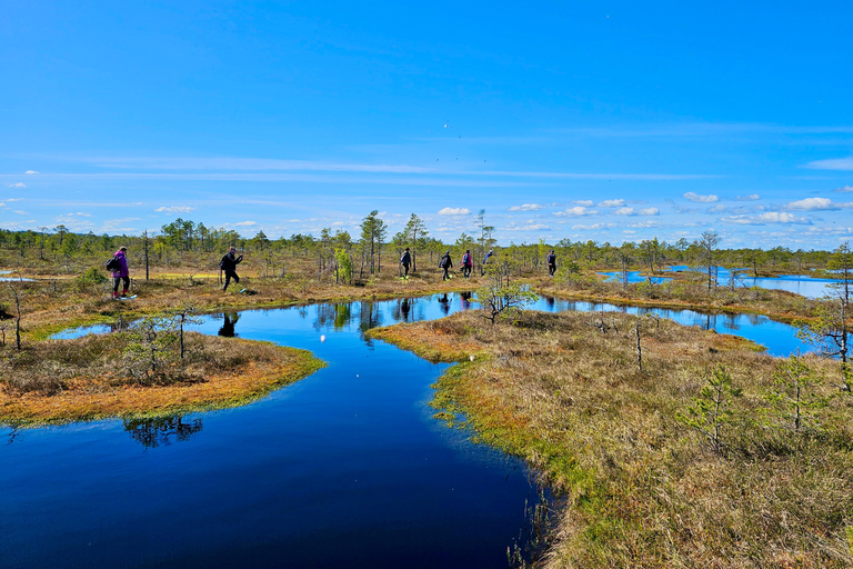Ķemeri Bogs Adventure: Explore Wetlands In Bog Shoes