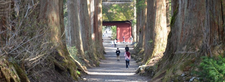 1 journée à Togakushi : fabrication de Soba, ville des Ninjas et sanctuaires cachés