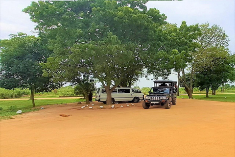 02 dagar - Besök Ella och Udawalawe Safari - Allt inklusive2 dagar - Besök Ella och Udawalawe Safari - Allt inklusive