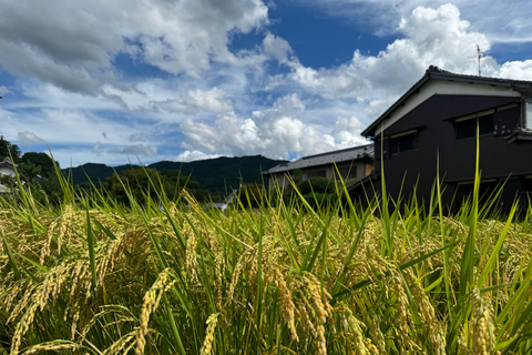 Nara: Spiritueel hart en landschappelijke schoonheid van Asuka Village