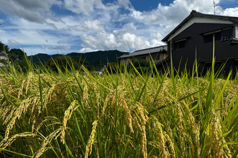 Nara: Coração espiritual e beleza paisagística da aldeia de Asuka