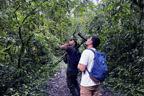 Paramo & Cloud Forest: Andean Bear Expedition