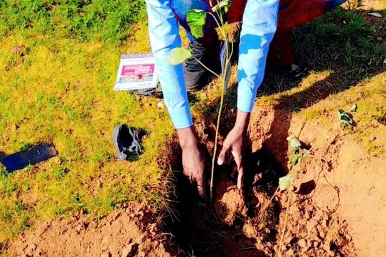 Nairobi: Tree Planting Experience with Hotel Pickup