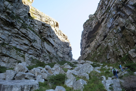 Città del Capo: escursione di 3 ore alla Table Mountain attraverso la gola di PlatteklipTable Mountain: escursione di 2 ore alla gola di Platteklip