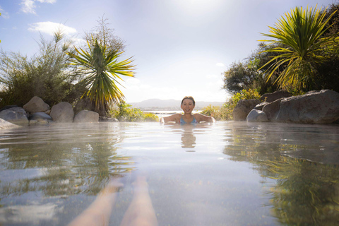 Vanuit Auckland: TE-PUIA GEOTHERMAL, REDWOODS &amp; BLUE SPRINGS