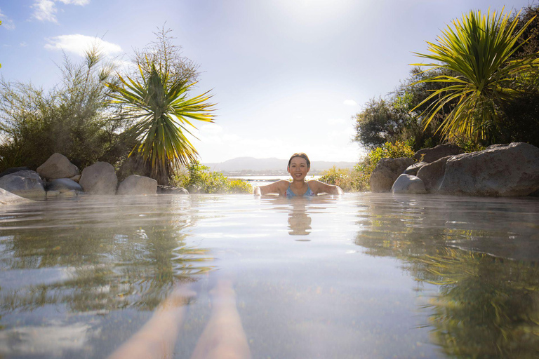 Vanuit Auckland: TE-PUIA GEOTHERMAL, REDWOODS &amp; BLUE SPRINGS