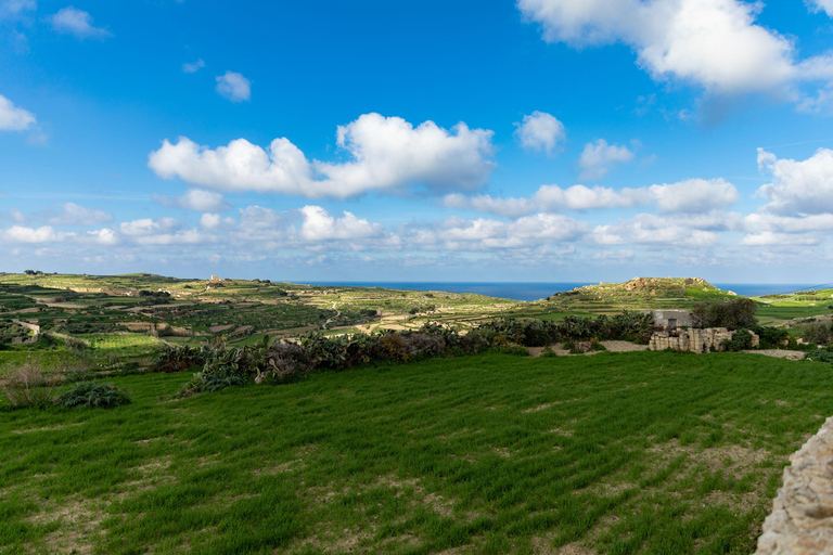 From Bugibba: Comino and Gozo Cruise with Swim Stops