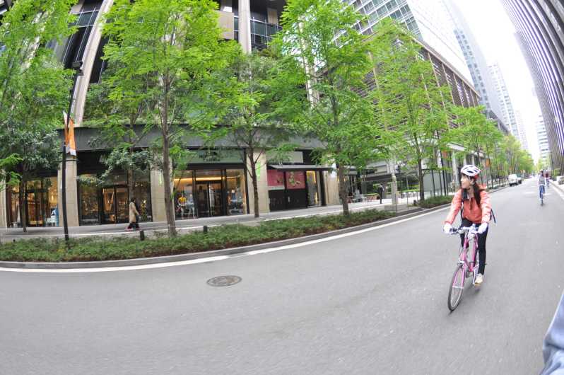 Tokio: Entdecke das traditionelle Tokio Ganztagestour mit dem Fahrrad