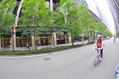 Tokio: Fahrrad-Tagestour durch das traditionelle TokioTokio: Tagestour mit dem Fahrrad