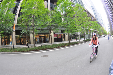 Tokyo : Découvrez la ville traditionnelle de Tokyo lors d'une excursion à vélo d'une journéeTokyo : Journée entière de visite à vélo