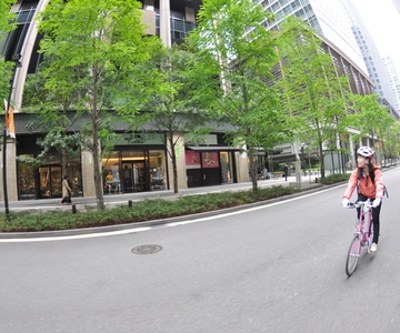 Tokyo: Discover Traditional Tokyo Full-Day Bicycle Tour