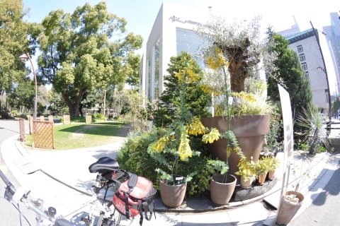 Tokyo: Discover Traditional Tokyo Full-Day Bicycle Tour Tokyo: Full-Day Bicycle Tour