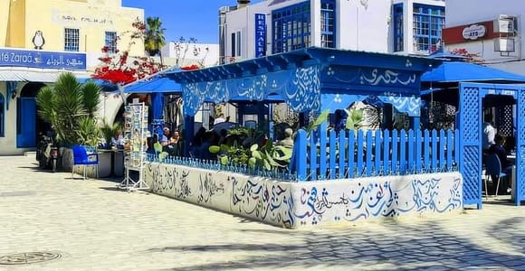 Djerba in 1 day: island tour, authentic sites & Crocodile Park