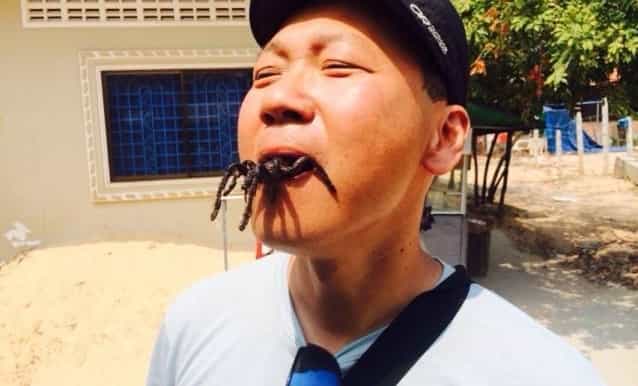 siem reap fried insect cuisine adventure
