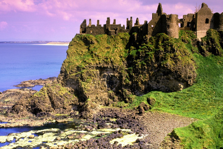 From Belfast: Giant's Causeway Private Day Tour
