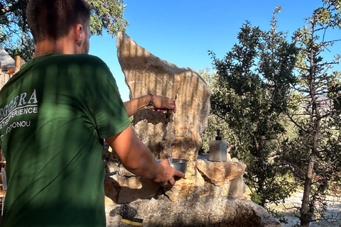 Gebiet Chania: Kochkurs auf einem Bauernhof im Dorf StylosKochkurs mit traditionellen Gerichten und biologischen Lebensmitteln