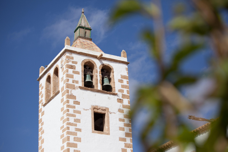 Discover The Authentic Fuerteventura from the South