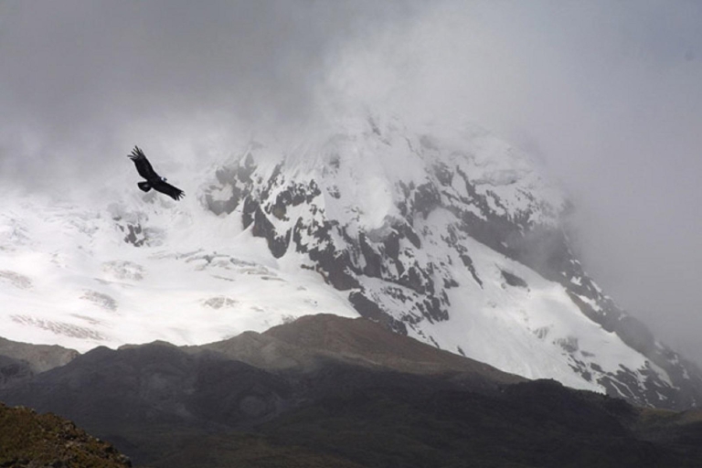 Prywatna wycieczka po wulkanie Antisana: kondory i ptaki andyjskie WatWycieczka prywatna: 2 pasażerów