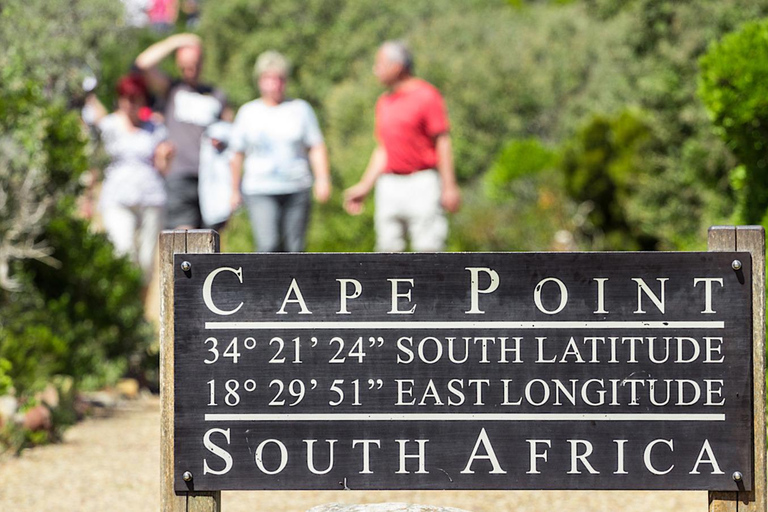 Città del Capo: Table Mountain, pinguini e Bo-Kaap Private ...