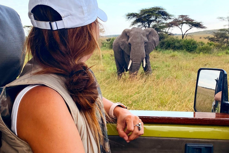 From Nairobi: 4-Day Masai Mara and Lake Nakuru Trip