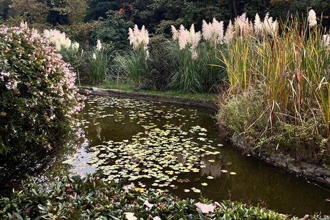 تبليسي: الشلالات والتلفريك وفرص التقاط الصور الخلابةتبليسي: شلالات وتلفريك وفرص لالتقاط صور خلابة