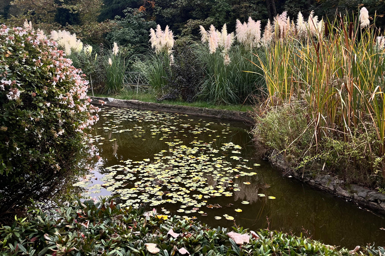 تبليسي: الشلالات والتلفريك وفرص التقاط الصور الخلابةتبليسي: شلالات وتلفريك وفرص لالتقاط صور خلابة