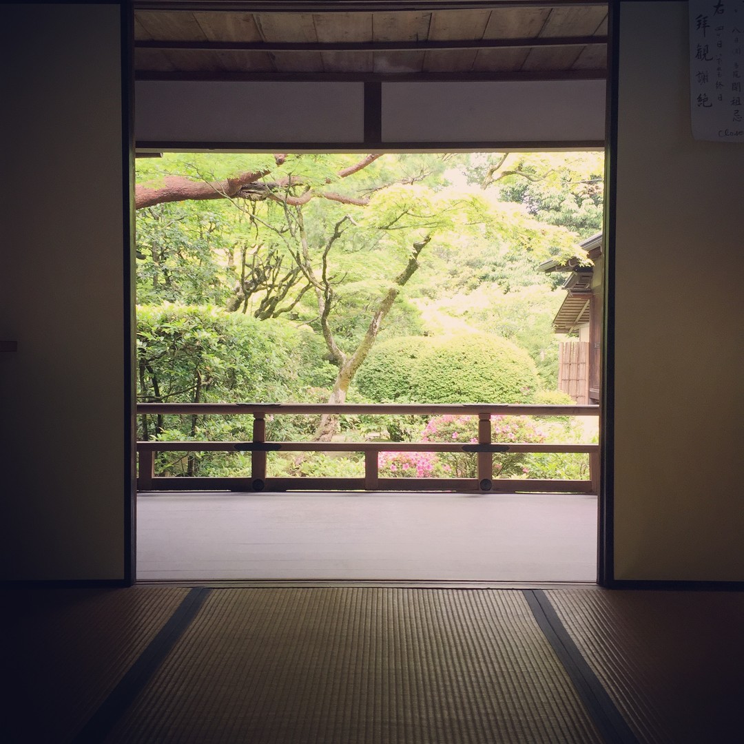 メディア コラージュ