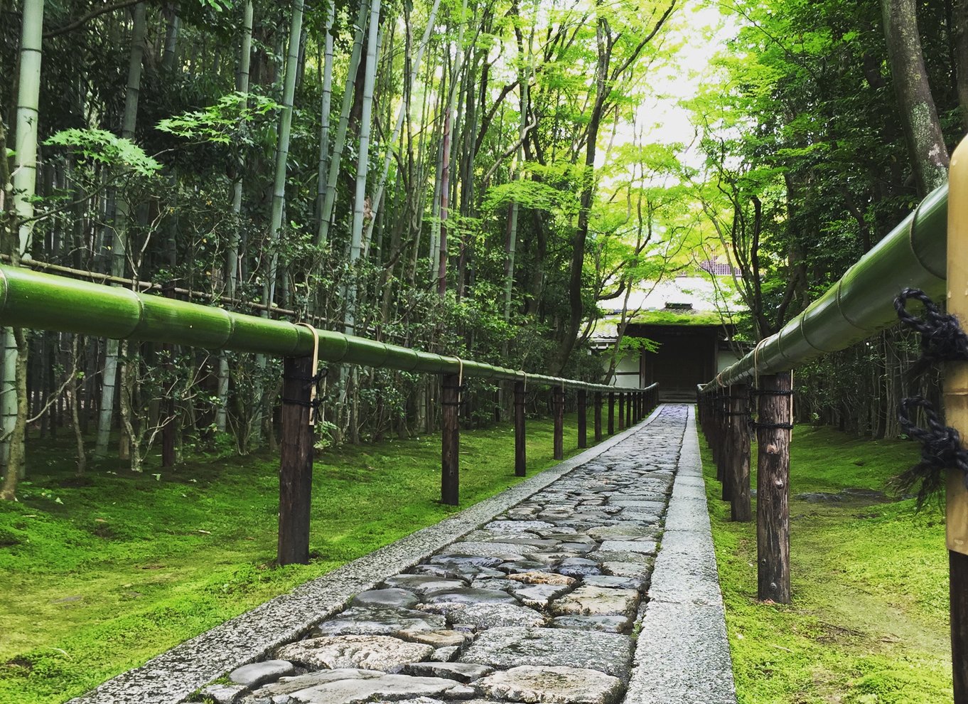 Kyoto: Byens hemmeligheder eBike Tour