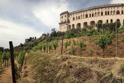 Naples: visite à pied urbaine privée du centre-ville