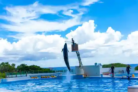Okinawa: Aquarium, Kouri Island, & American Village Bus Tour