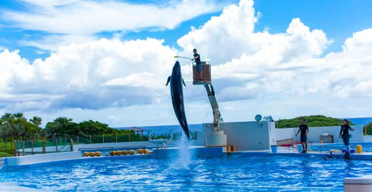 アメリカン ビレッジ から 美 ら 海 セール 水族館 バス