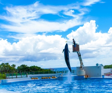 Okinawa: Aquarium, Kouri Island, & American Village Bus Tour