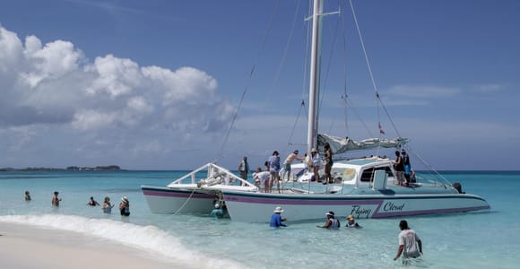 Full Day Sail and Snorkel with Turtles