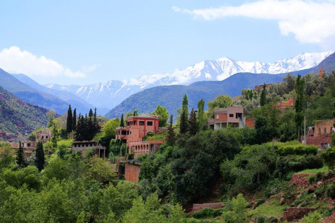 From Marrakech: Ourika Valley Day Trip Tour Only