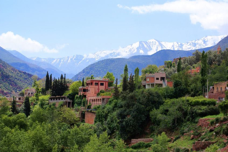 Da Marrakech: Tour di un giorno della Valle dell&#039;Ourika e delle Montagne dell&#039;AtlanteTour guidato di 1 giorno