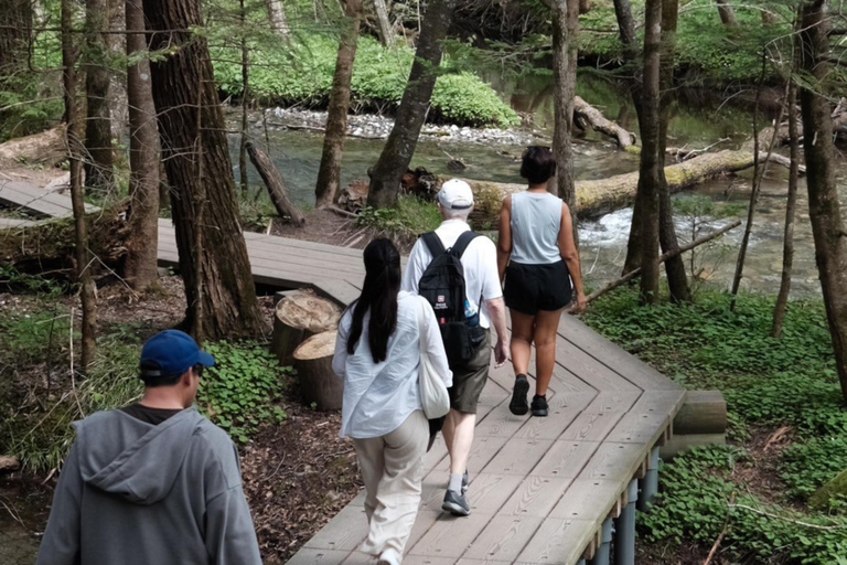 Nagano: Matsumoto Castle & Kamikochi Private Day Tour Pick Up From Your Location