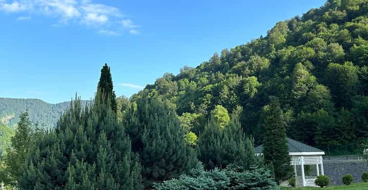 Baku-Gabala-Shamakhi-Tufandag -Nohur lake - Lavender fields photo 6