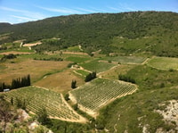Cathar Castles, Quéribus and Peyrepertuse - Housity