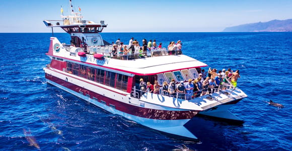 Costa Adeje: Whale & Dolphin Submarine Vision Mini Cruise